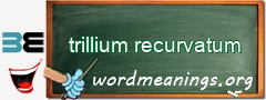 WordMeaning blackboard for trillium recurvatum